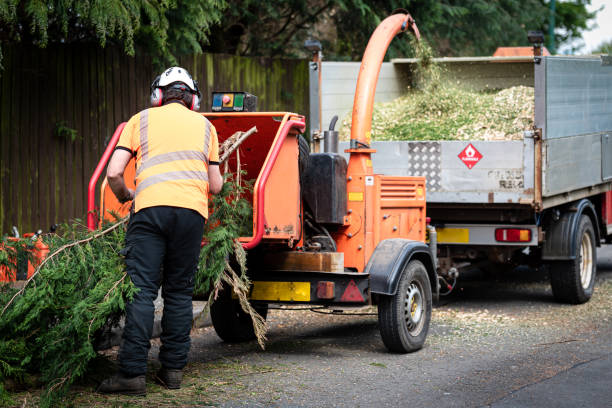 Best Utility Line Clearance  in Rm Beach, WA